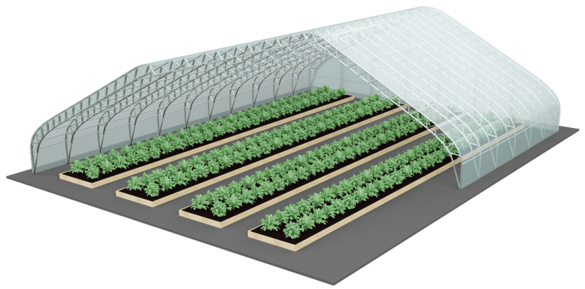 ангар для растений